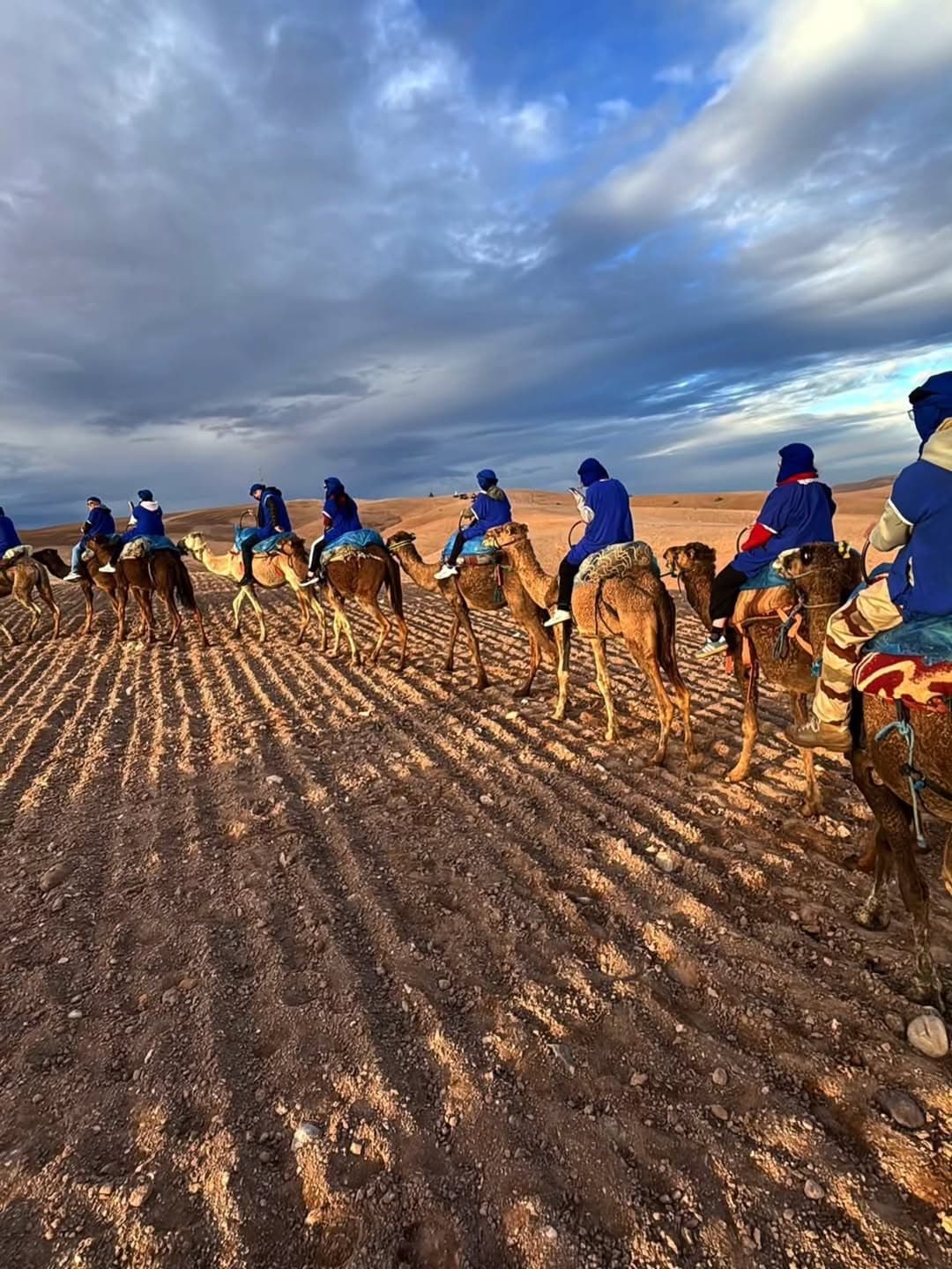 Caravane de dromadaires dans le désert d'Agafay